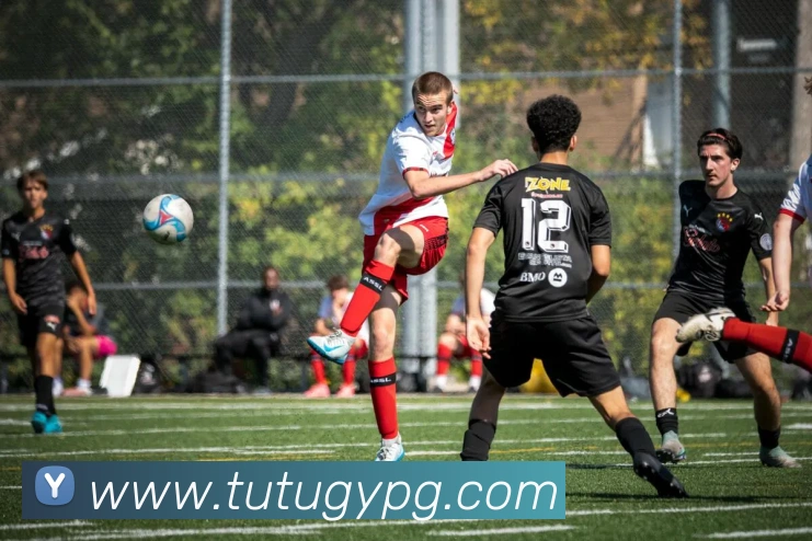 多媒体互动体验